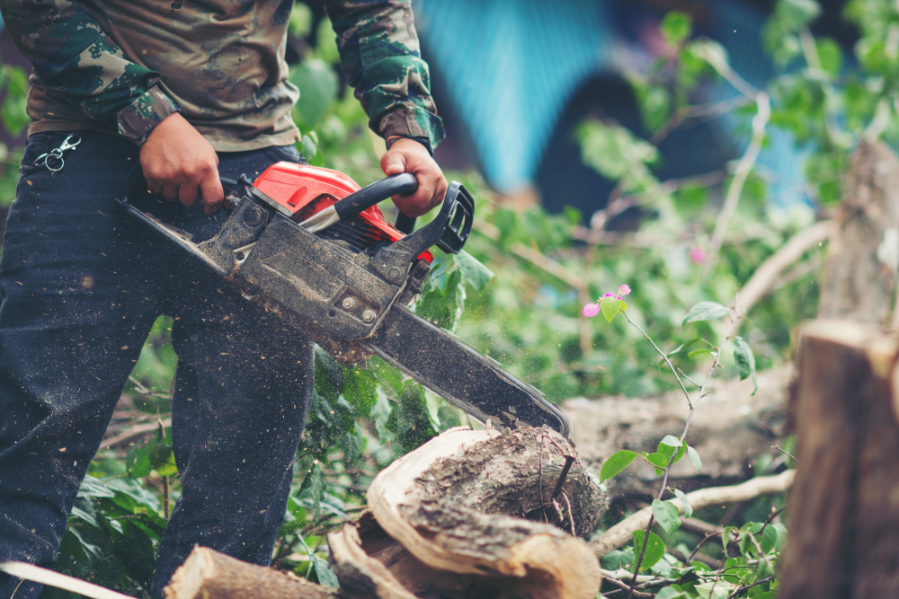 Tree Maintenance